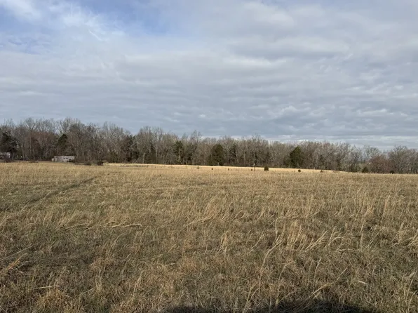 777 Mount Vernon Rd Lot 2, Bethpage, TN 37022