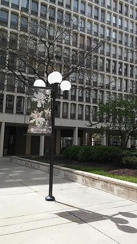 1st image of 1400 E 55th Pl #706S