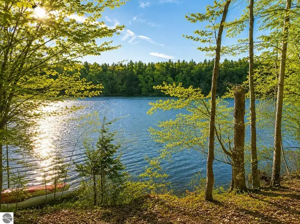 Vl Acorn Ridge Trl, Beulah, MI 49617
