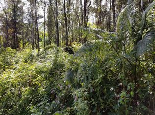 14-3588 Lanai Rd LOT 104, Pahoa, HI 96778