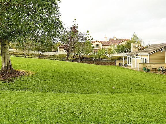 4th image of 1323 Shelby Creek Ln