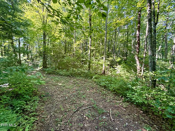 4th image of Bull Mountain Rd