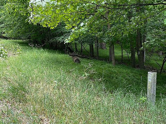 4th image of 9860 Lost Canyon Dr