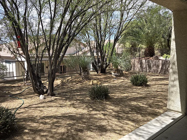 Back yard provides shade.