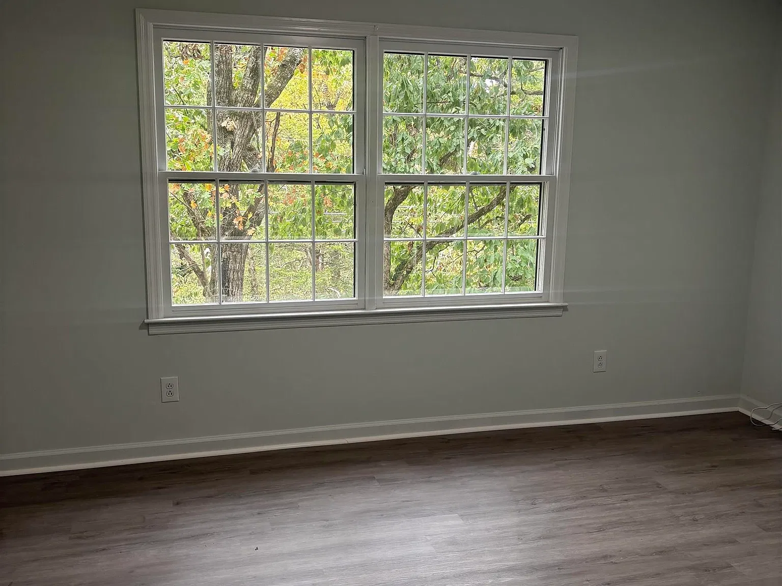 3 bed, 2.0 bath, 1772 sqft, $1,800 — Photo 4