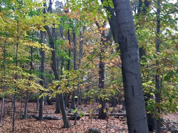 6 Gatto Ln, Pearl River, NY 10965