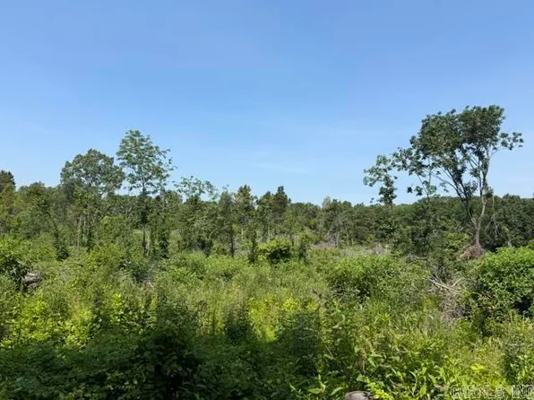 Shook Ln, De Witt, AR 72042