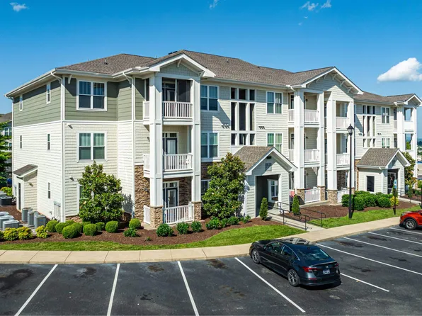 Grand Oak at Town Park