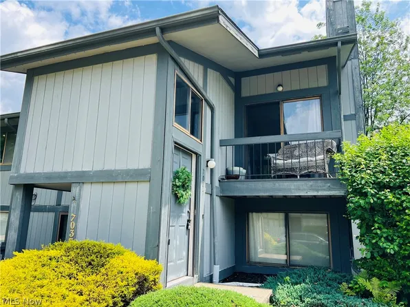 7047 Bristlewood Dr, Painesville, OH 44077