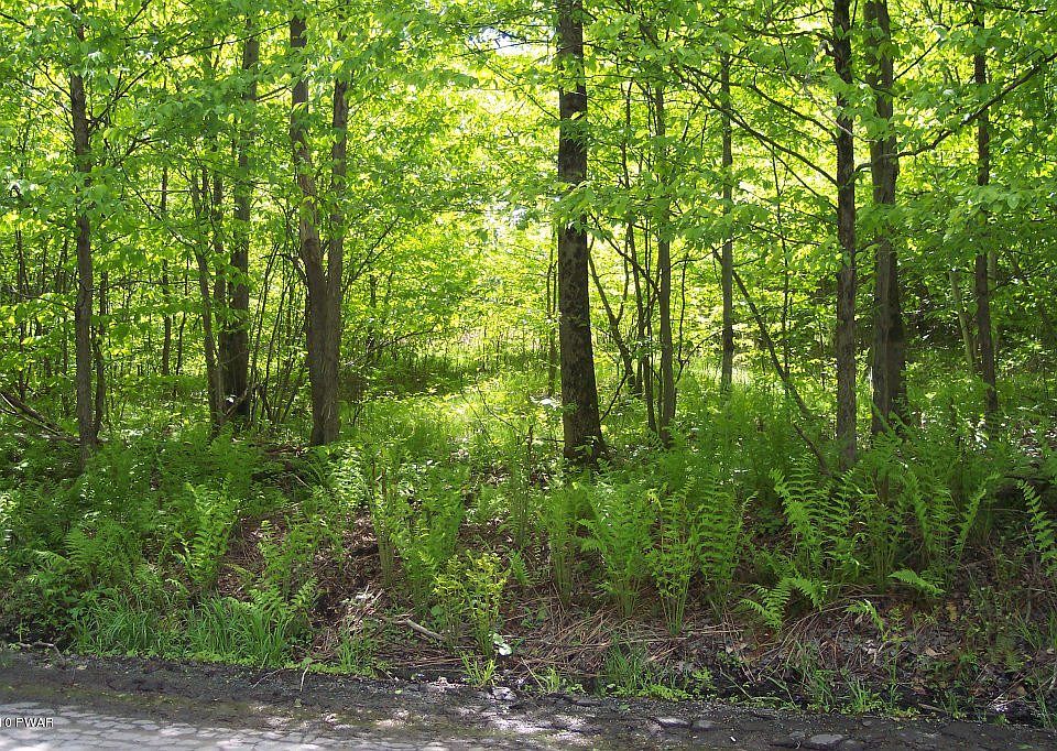 2nd image of Niles Pond Rd