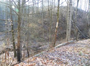 Lones Branch Ln, Sevierville, TN 37876