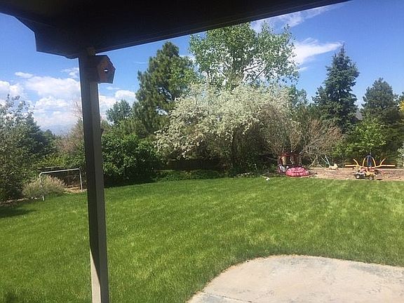 Backyard viewed from kitchen