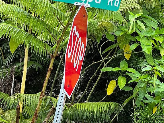 4th image of Kekoanui St Lot 80