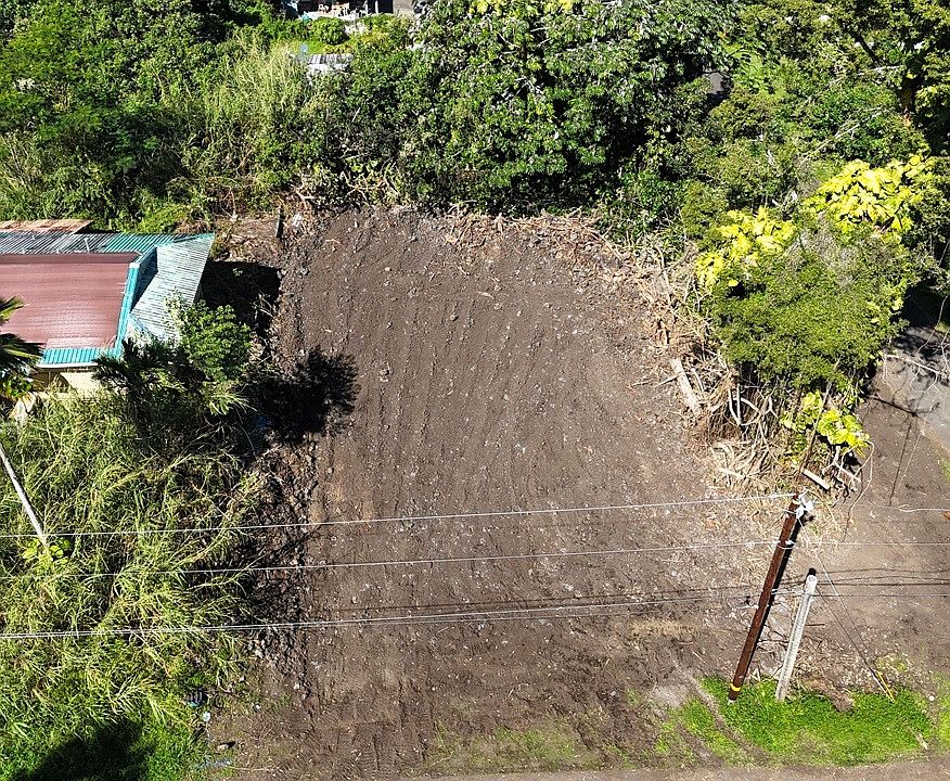 1st image of MOANO ST
