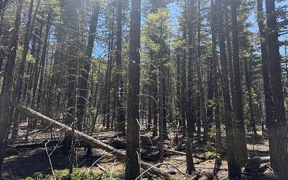 2nd image of Sawyer Mesa Rd