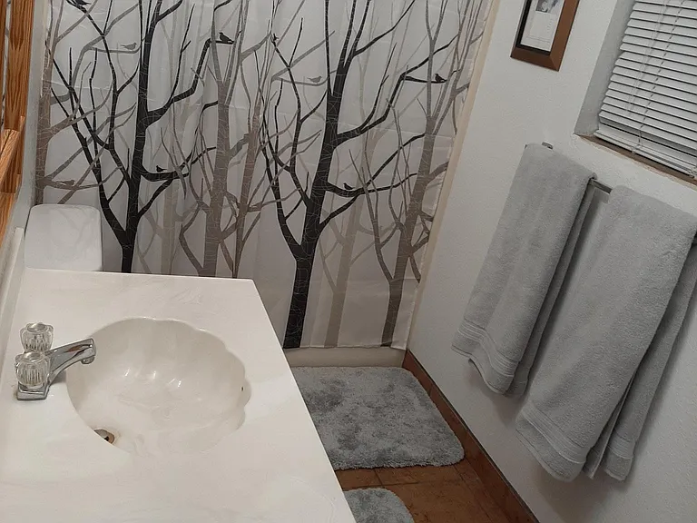 Downstairs bathroom as it shows today.