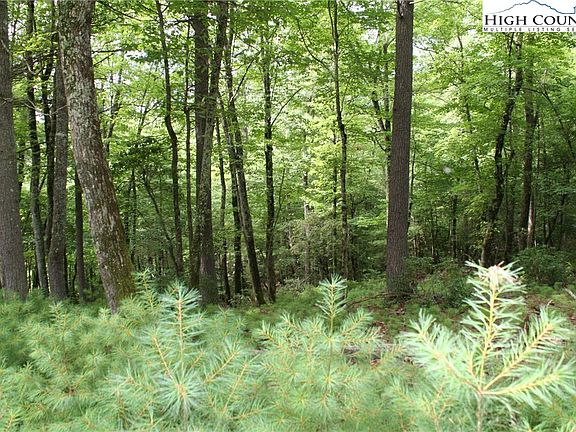 5th image of Lot 11 & 12 Walden Lane