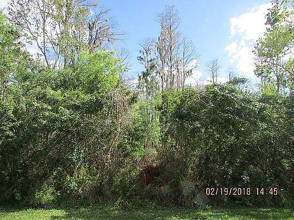 3rd image of 11263 Windsor Place Cir