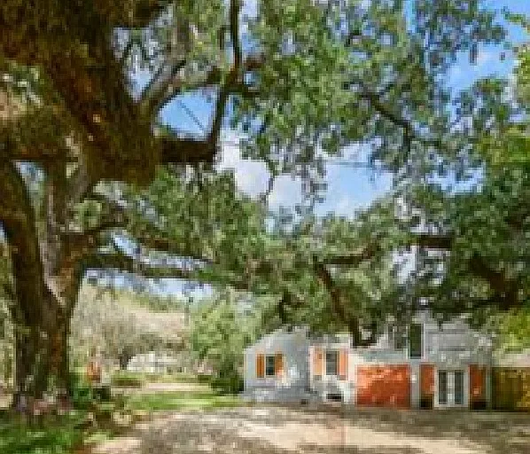 114 Lsu Ave — Photo 18