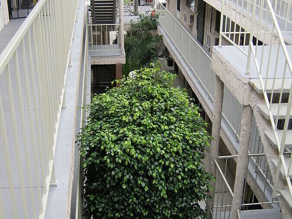 3rd image of 4260 44th St APT 216