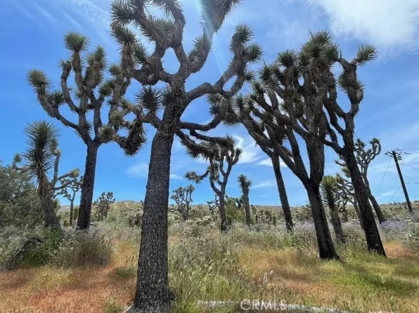 7777 Onaga Trl, Yucca Valley, CA 92284