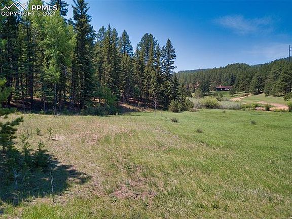 3rd image of 1449 Windflower Cir