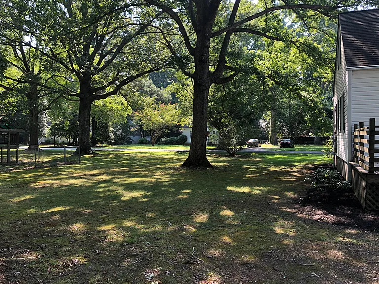 Mimosa backyard 2_08082018