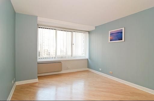 5th image of 211 E Ohio St APT 1204