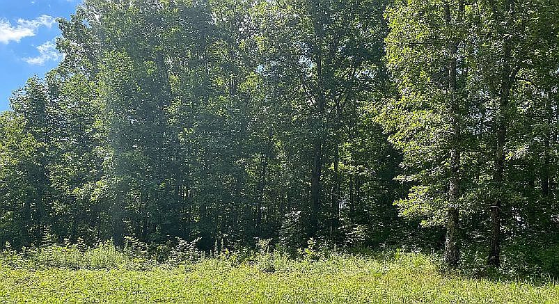 1st image of Dubose Dr Lot 27
