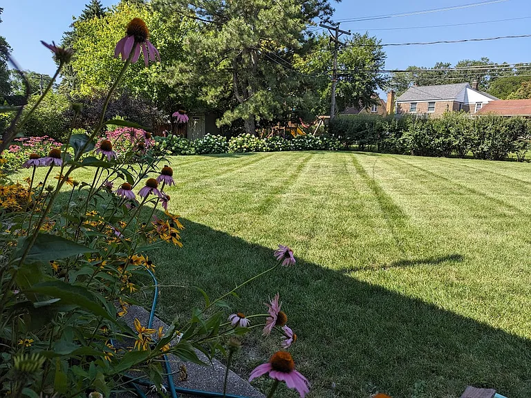 Large Back Yard - Owner Pays for Routine Lawn and Yard Maintenance
