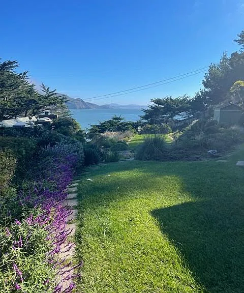 Garden view
