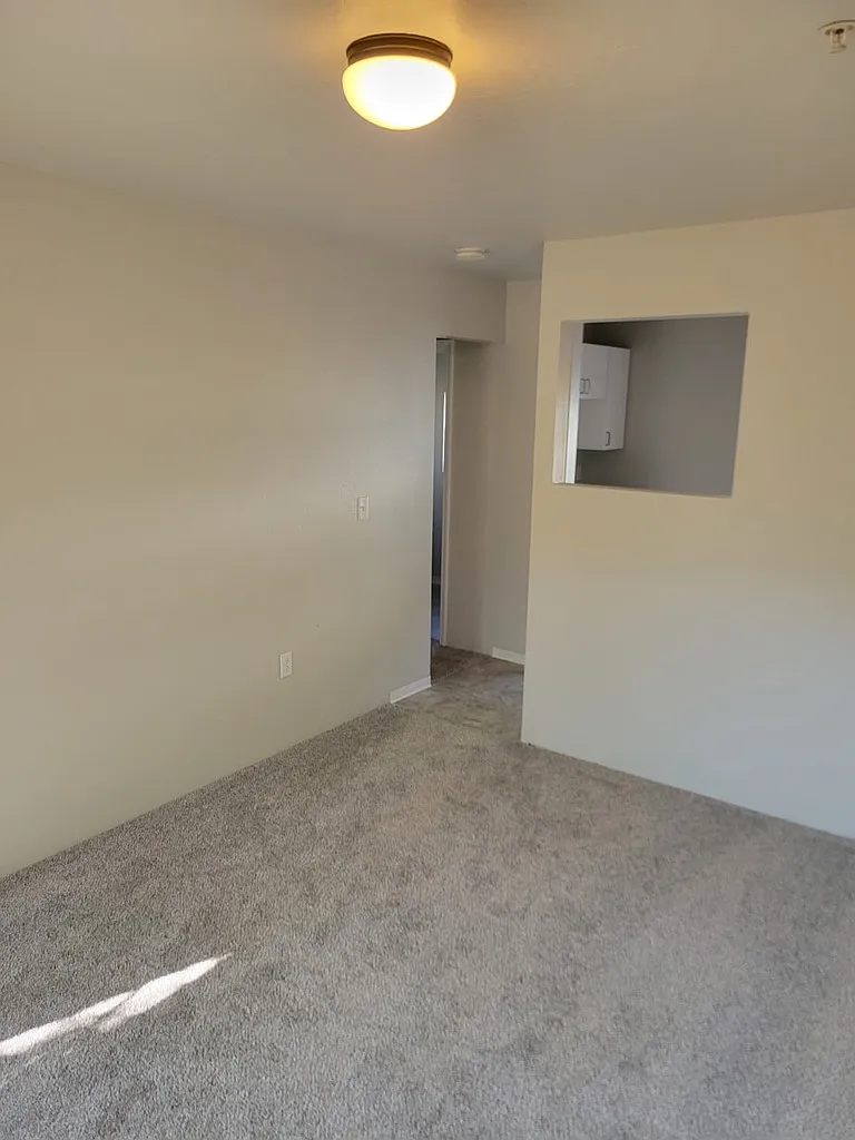 1 bed, $995 — Photo 4
