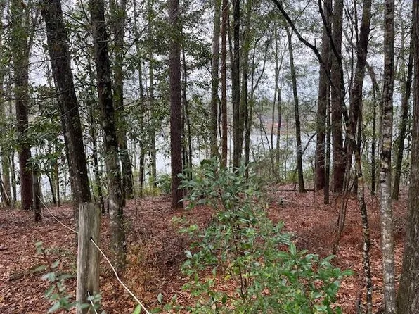 0 Sandy Landing Rd, Andalusia, AL 36421