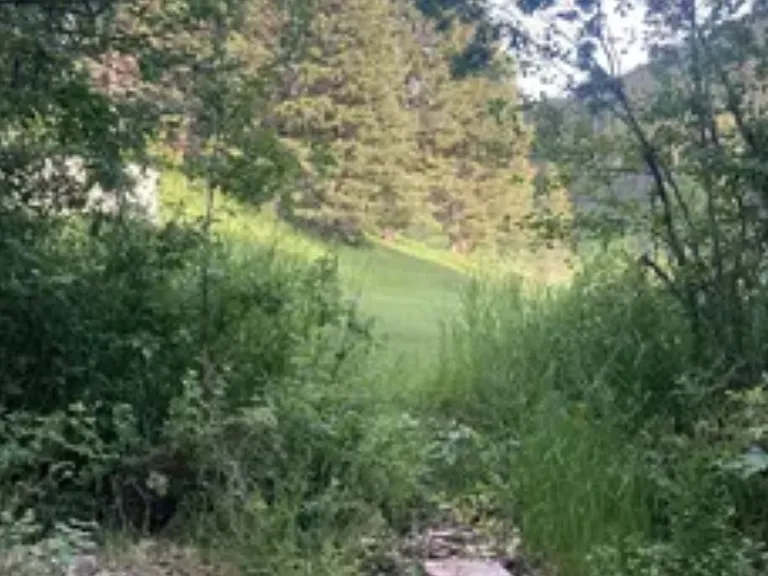 19 Promise Ln — Photo 13