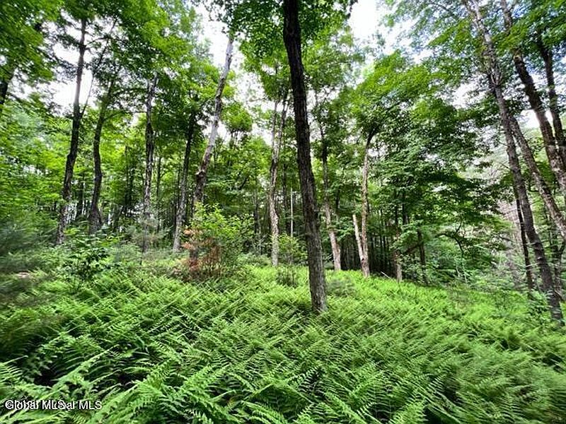 4th image of Lot 2 McGregor Road Lot 2