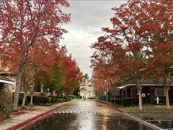 Fall colors in the community