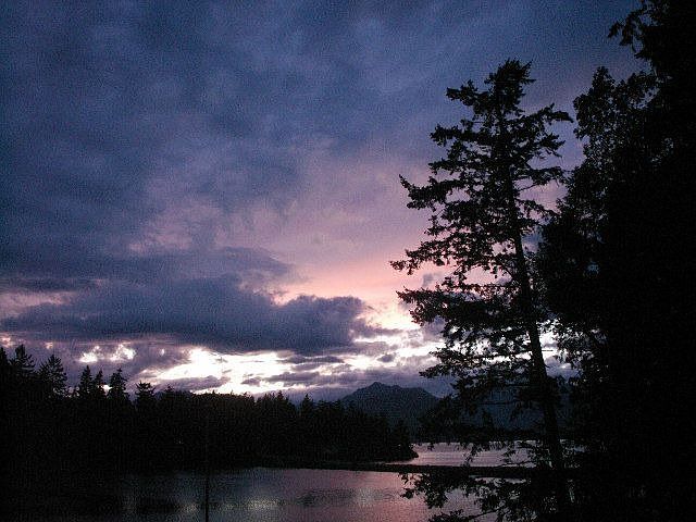 View from the back deck