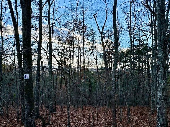 4th image of 49 Mission Rd