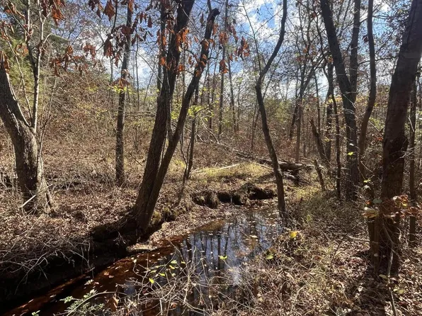 8 County Road 267, Bryant, AL 35958