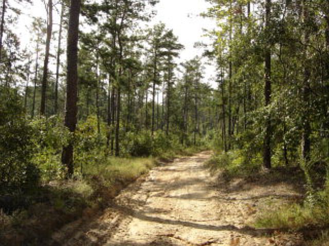 2nd image of Woodland Dr