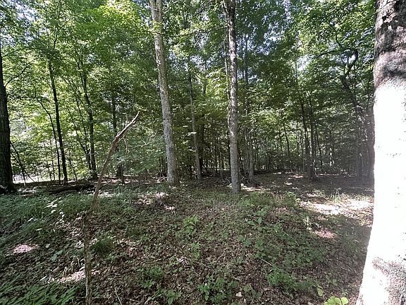 4th image of 1 Reed Rd