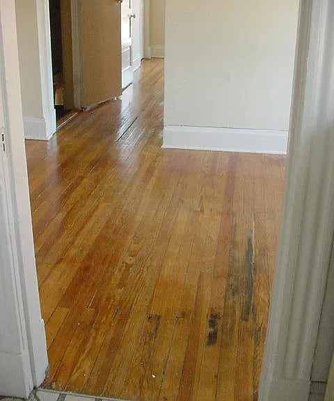 9 S Crenshaw Ave #D — Photo 5