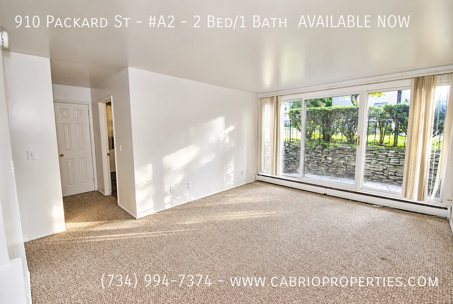 910 Packard St. — Photo 2