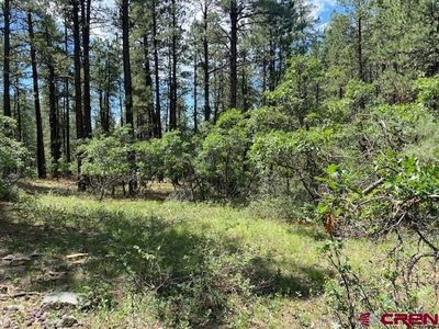 399 E Forest Lakes Drive, Bayfield, CO, 81122