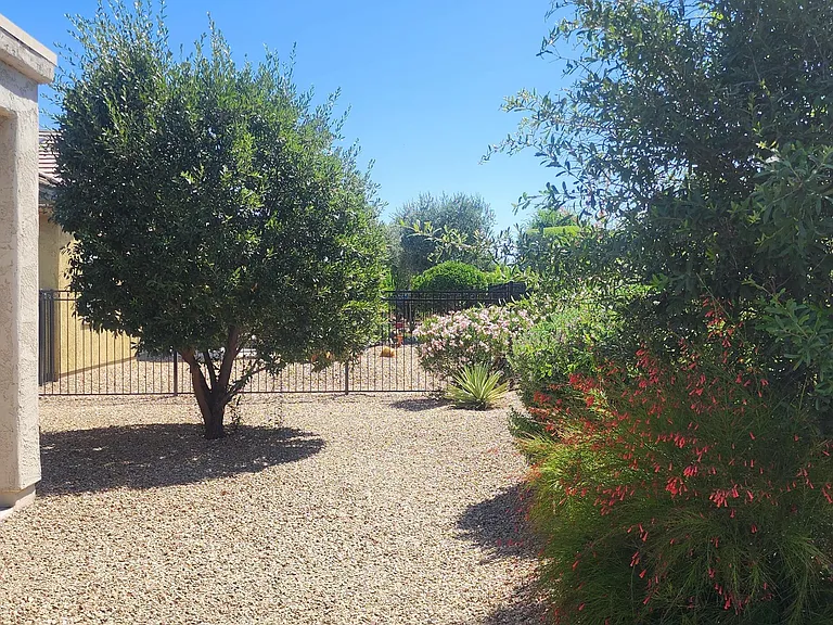 26195 W Via Del Sol Dr — Photo 21