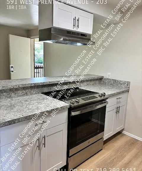 591 W Prentice Ave #203 — Photo 2