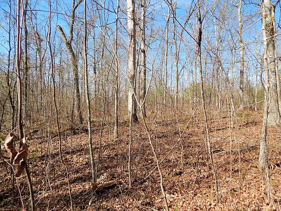 5th image of 179 Skyline Dr