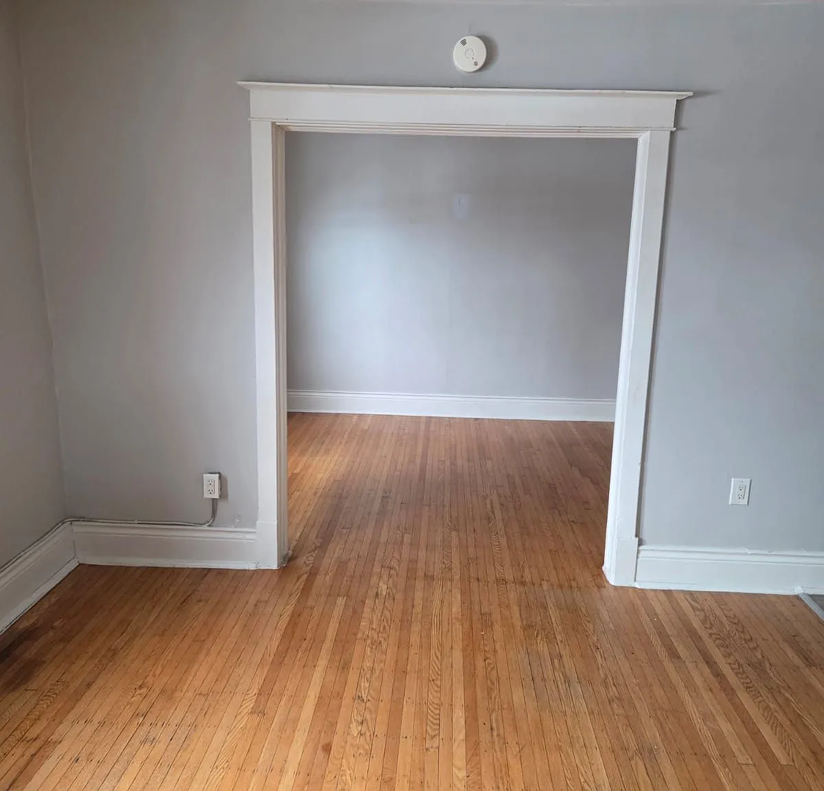 1 bed, $1,495 — Photo 4