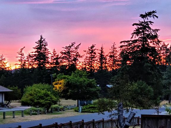 Secluded, safe, quiet, and easy walk to town.