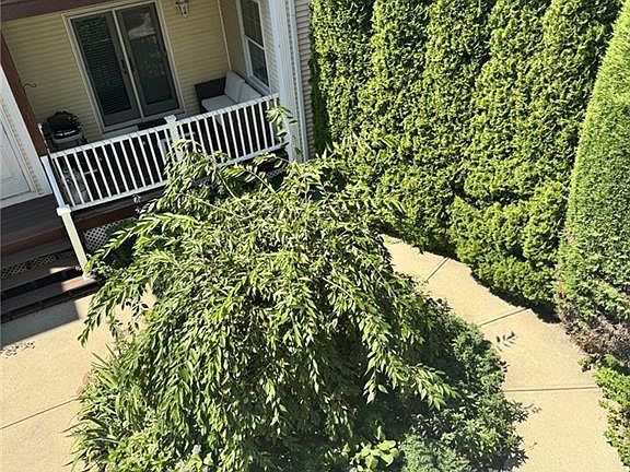 3rd image of 58 Sutton St APT 5
